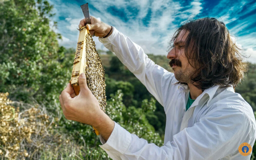 From Nectar to Honey - Gastronomy Tours 31 - Gastronomy Tours
